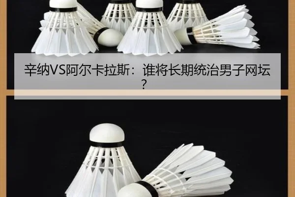 xin-na-a-er-ka-la-si-shui-jiang-chang-qi-tong-zhi-nan-zi-wang-tan-2-983.jpg