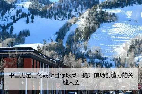 中国男足归化最新目标球员：提升前场创造力的关键人选